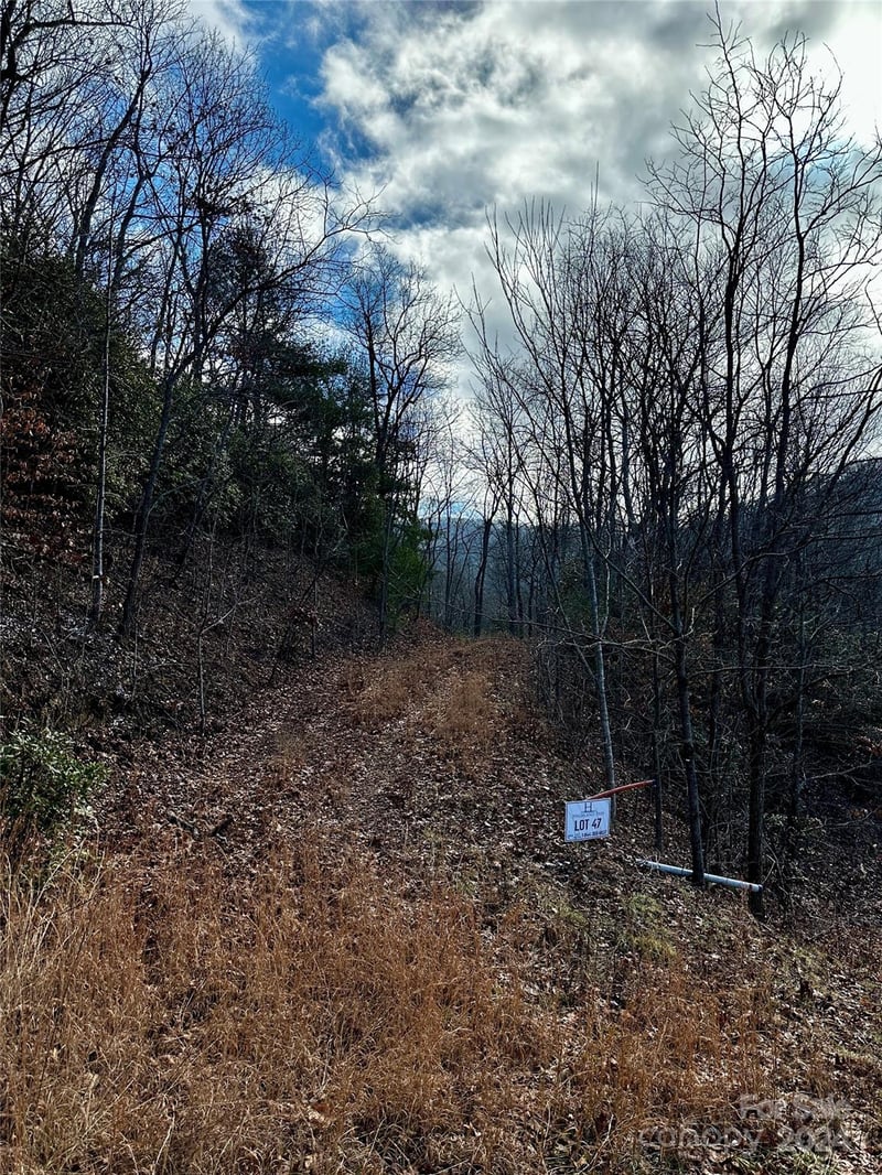 Lot 47 Nickajack Rd #47, Franklin, NC 28734