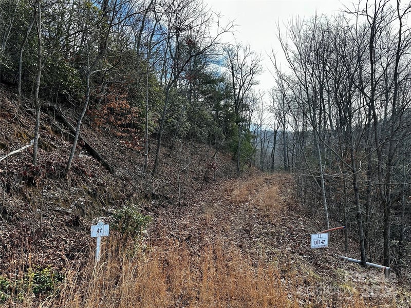 Lot 47 Nickajack Rd #47, Franklin, NC 28734