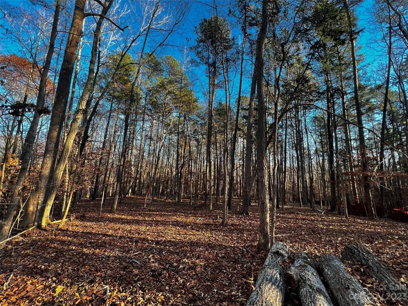 126 Hunt Camp Trl #20, Davidson, NC 28036