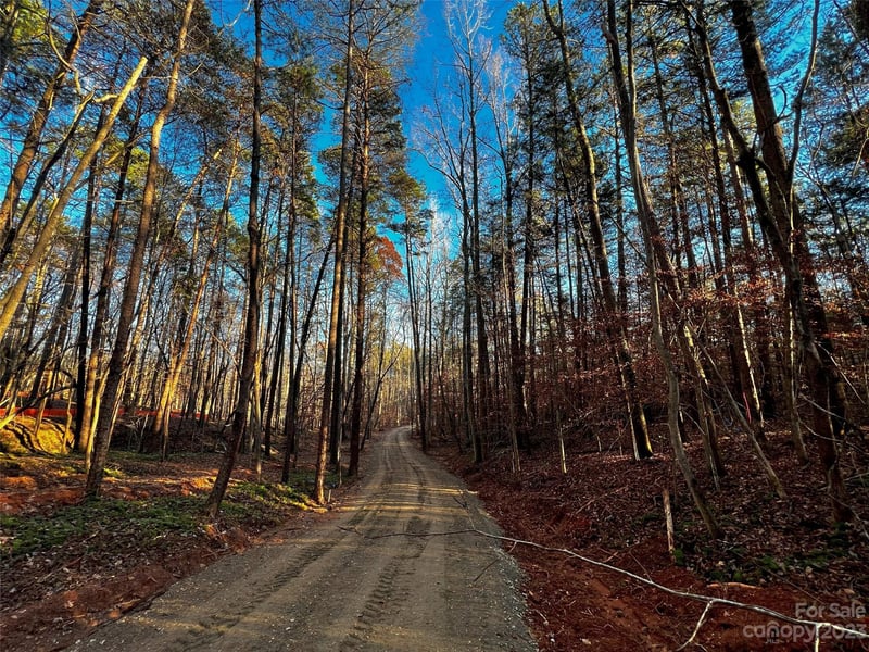 126 Hunt Camp Trl #20, Davidson, NC 28036