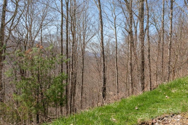 LOT 13 Austin Mountain Dr #13/3, Burnsville, NC 21714