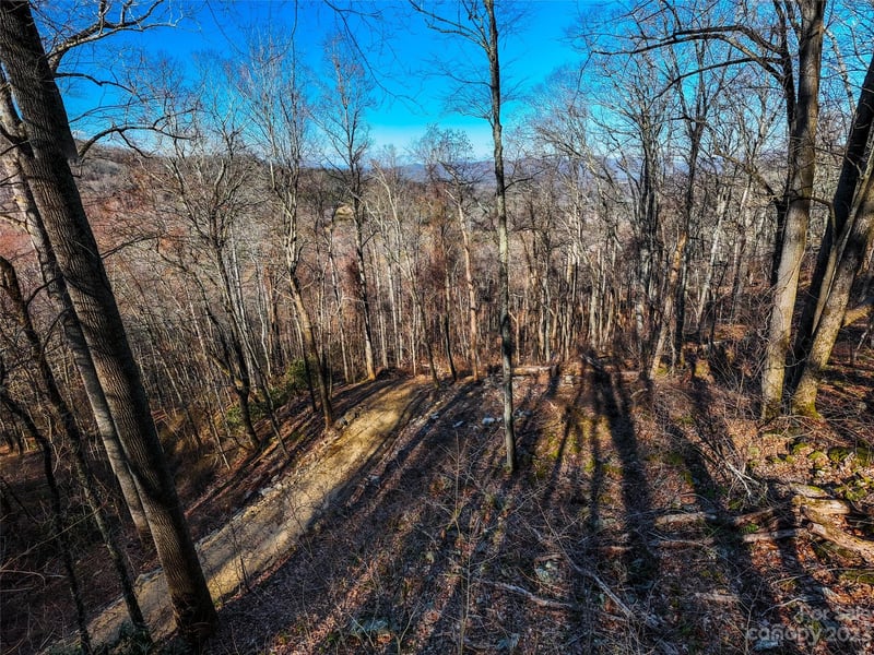 58 Flora Rose Trl #6A, Asheville, NC 28803