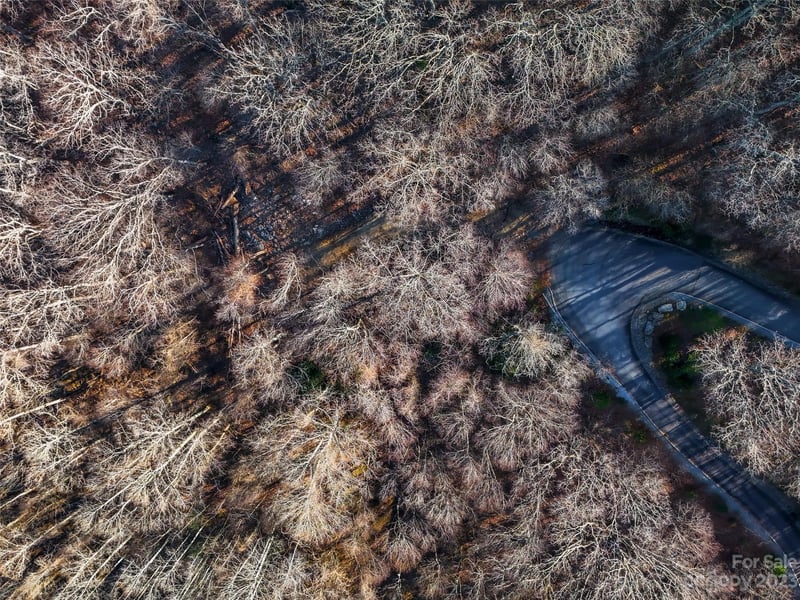 58 Flora Rose Trl #6A, Asheville, NC 28803