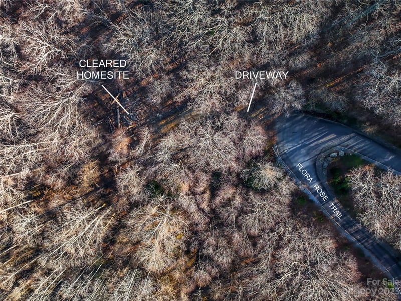 58 Flora Rose Trl #6A, Asheville, NC 28803