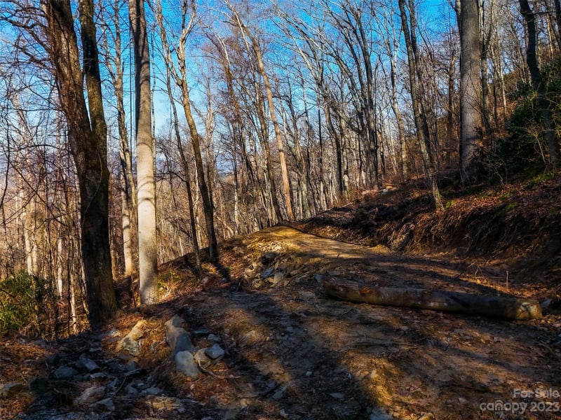 58 Flora Rose Trl #6A, Asheville, NC 28803