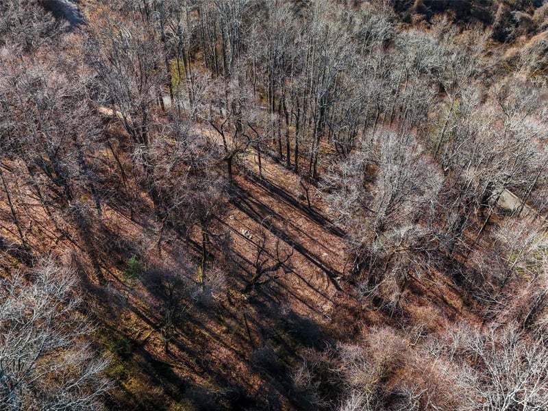 64 Flora Rose Trl #6B, Asheville, NC 28803