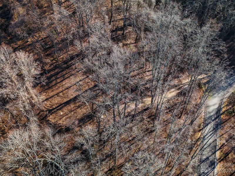 64 Flora Rose Trl #6B, Asheville, NC 28803