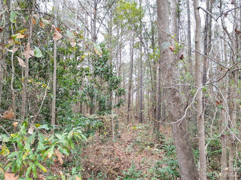 TBD 5th St, Hamlet, NC 28345