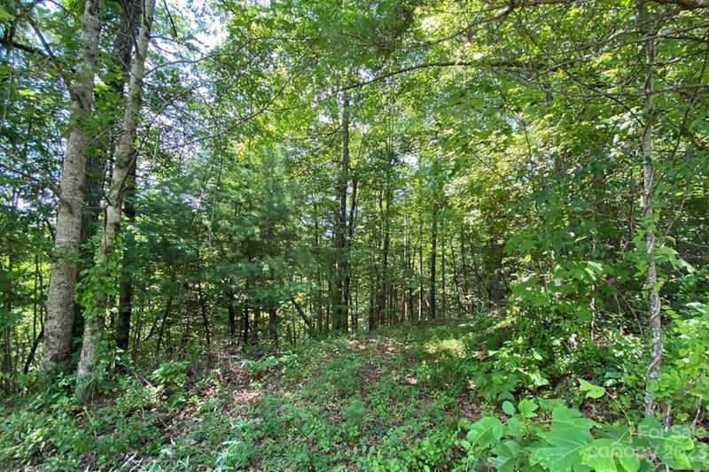 68 Stepp Ridge Ct, Hendersonville, NC 28792