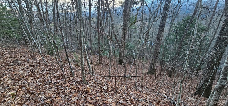 Lot 9 Seay Mountain Rd, Waynesville, NC 28785