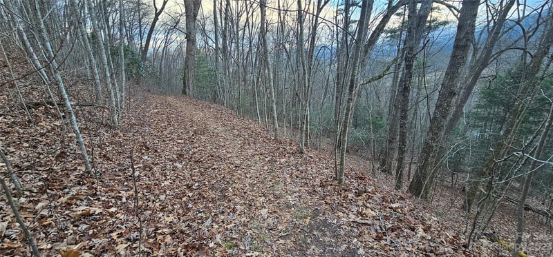 Lot 9 Seay Mountain Rd, Waynesville, NC 28785
