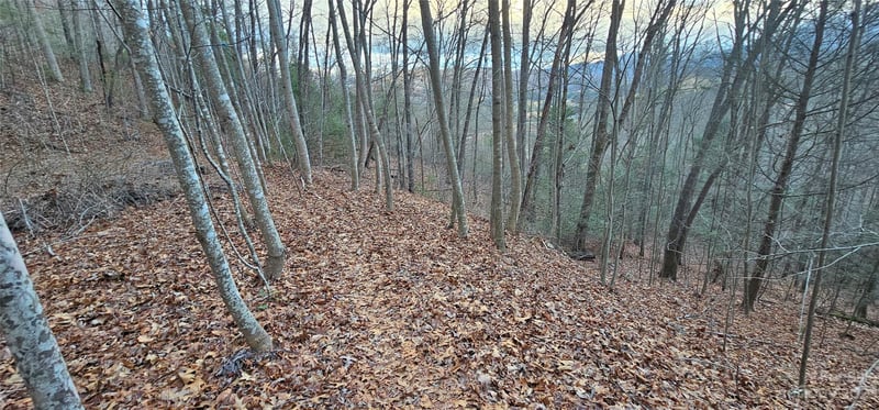 Lot 9 Seay Mountain Rd, Waynesville, NC 28785