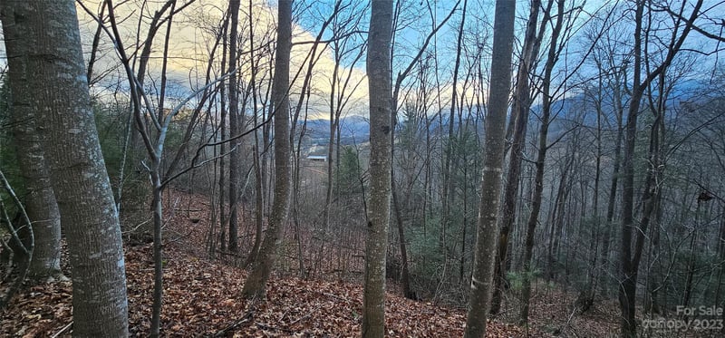 Lot 10 Seay Mountain Rd, Waynesville, NC 28785