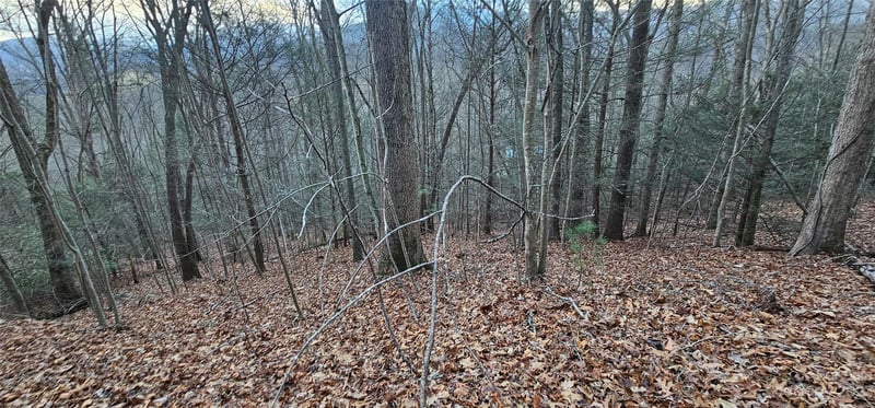 Lot 10 Seay Mountain Rd, Waynesville, NC 28785