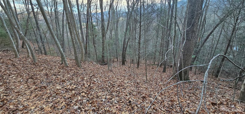 Lot 10 Seay Mountain Rd, Waynesville, NC 28785