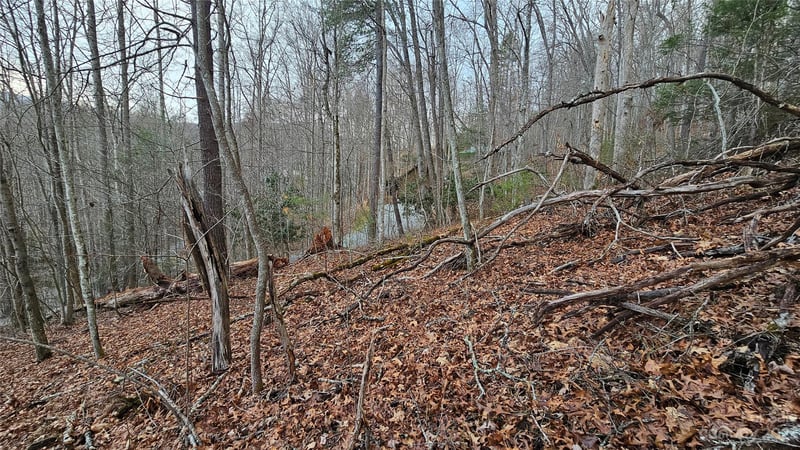 Lot 13 Seay Mountain Rd, Waynesville, NC 28785