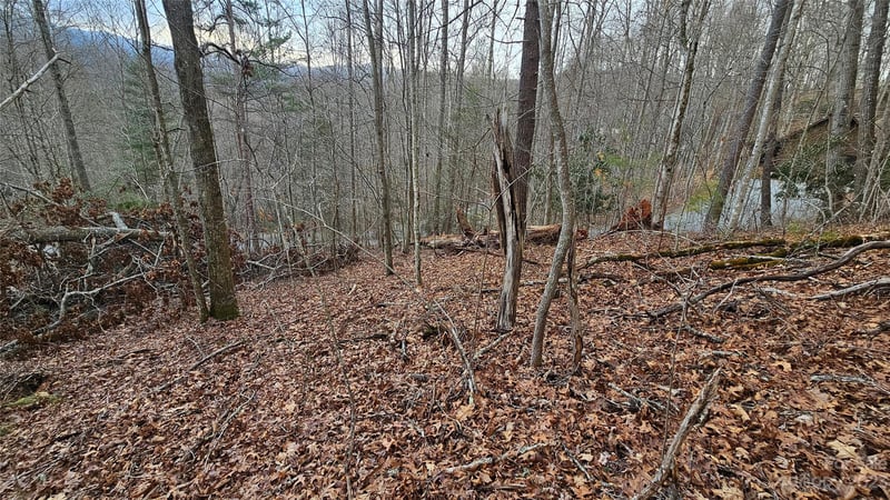 Lot 13 Seay Mountain Rd, Waynesville, NC 28785