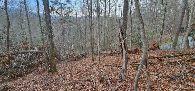 Lot 13 Seay Mountain Rd, Waynesville, NC 28785