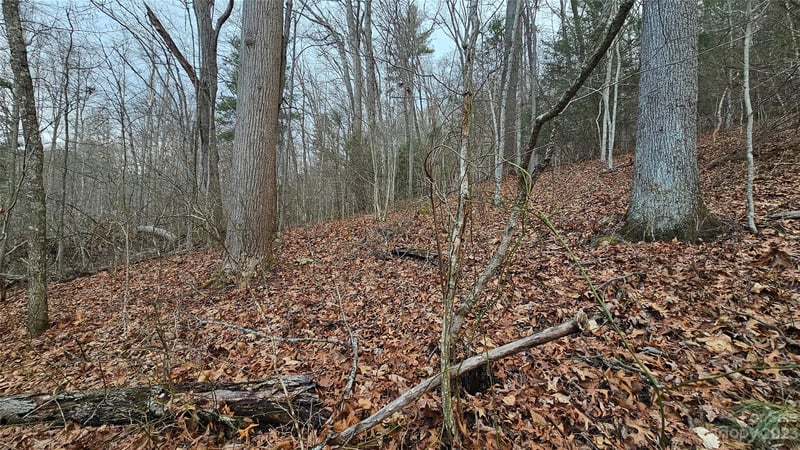 Lot 14 Seay Mountain Rd, Waynesville, NC 28785