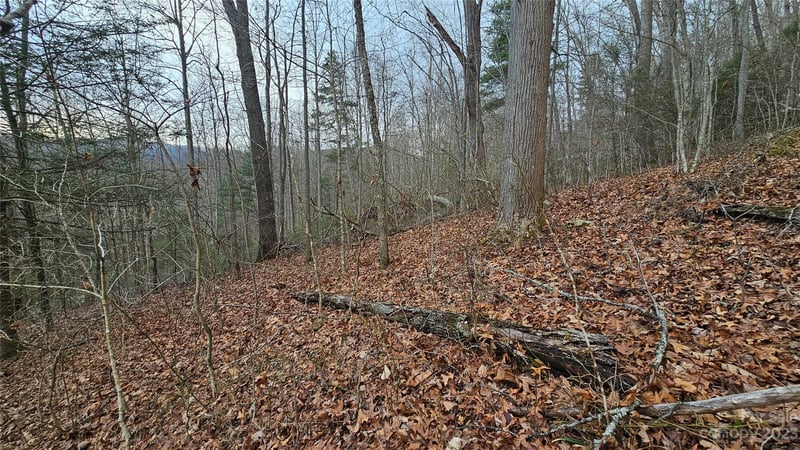 Lot 14 Seay Mountain Rd, Waynesville, NC 28785