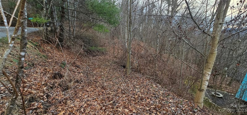 4 Lots Seay Mountain Rd, Waynesville, NC 28785