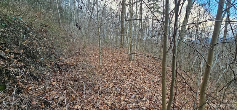 4 Lots Seay Mountain Rd, Waynesville, NC 28785