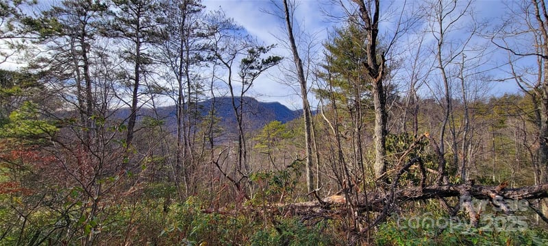 VL Chickasaw Way #2B, Marion, NC 28752