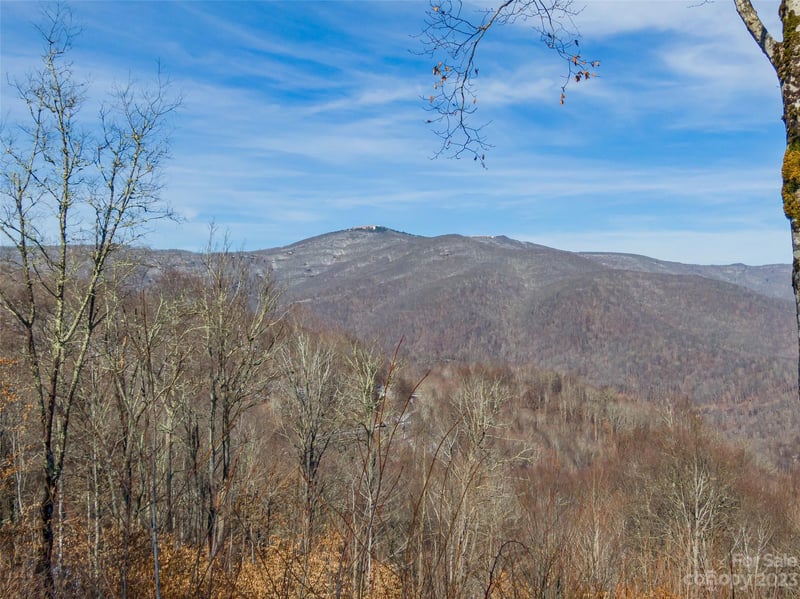 Lot 38 Black Bear Rn, Mars Hill, NC 28754