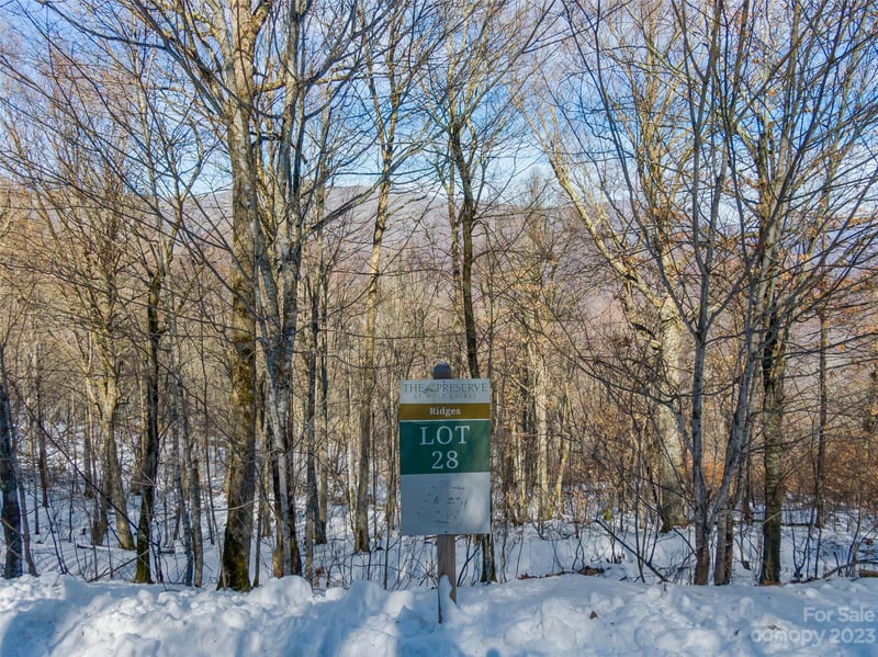 Lot 28 Black Bear Rn, Mars Hill, NC 28754