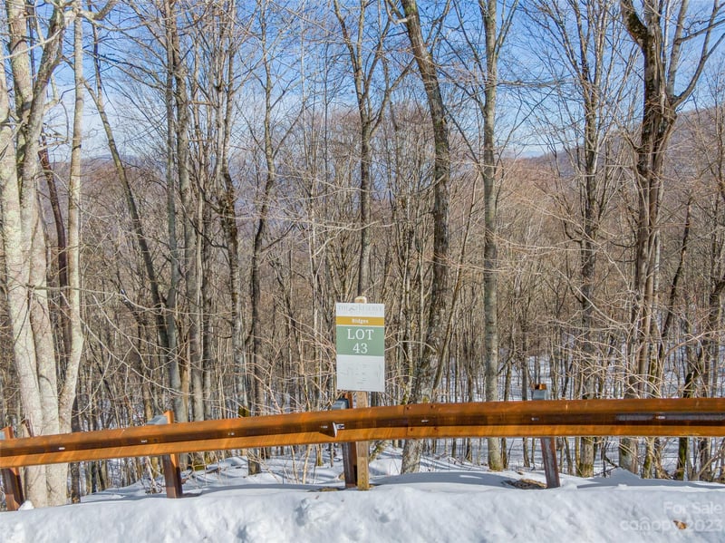 Lot 43 Black Bear Rn, Mars Hill, NC 28754