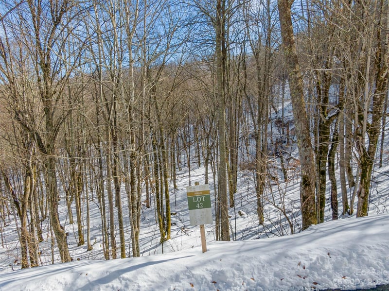 Lot 42 Black Bear Rn, Mars Hill, NC 28754