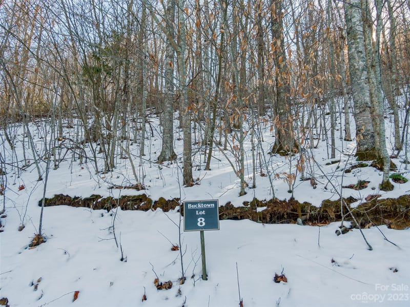 Lot 8 Settlement Way, Mars Hill, NC 28754