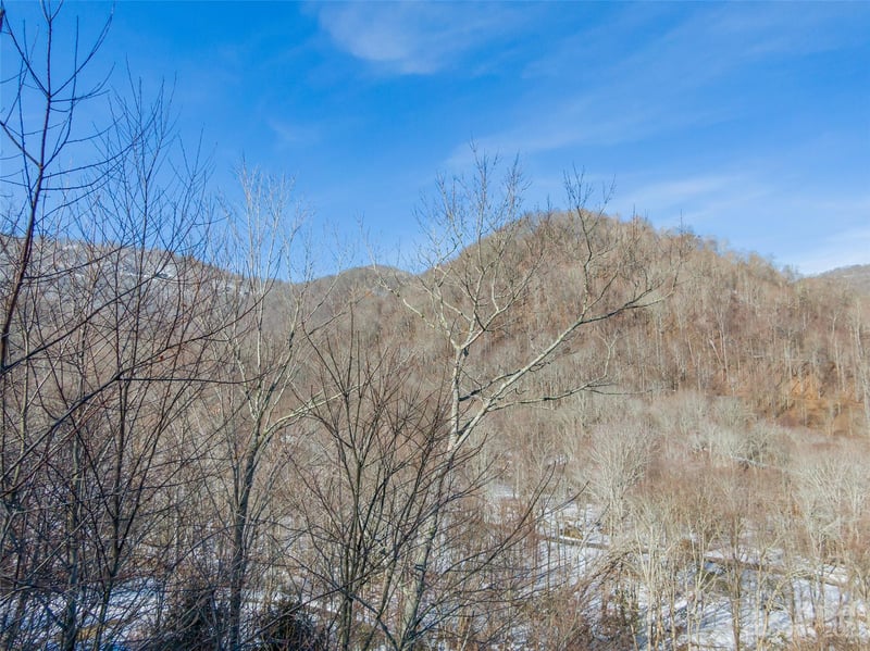 Lot 7 Hadleigh Pearl Way, Mars Hill, NC 28754