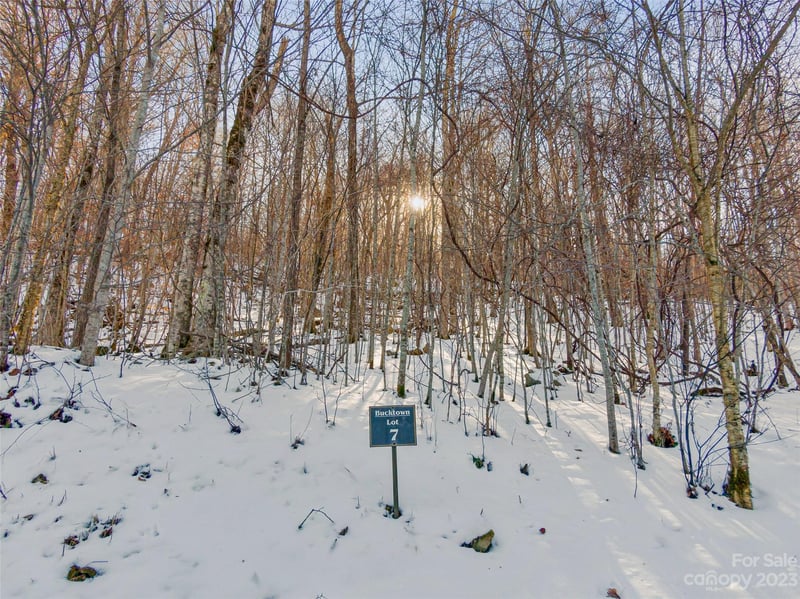 Lot 7 Hadleigh Pearl Way, Mars Hill, NC 28754