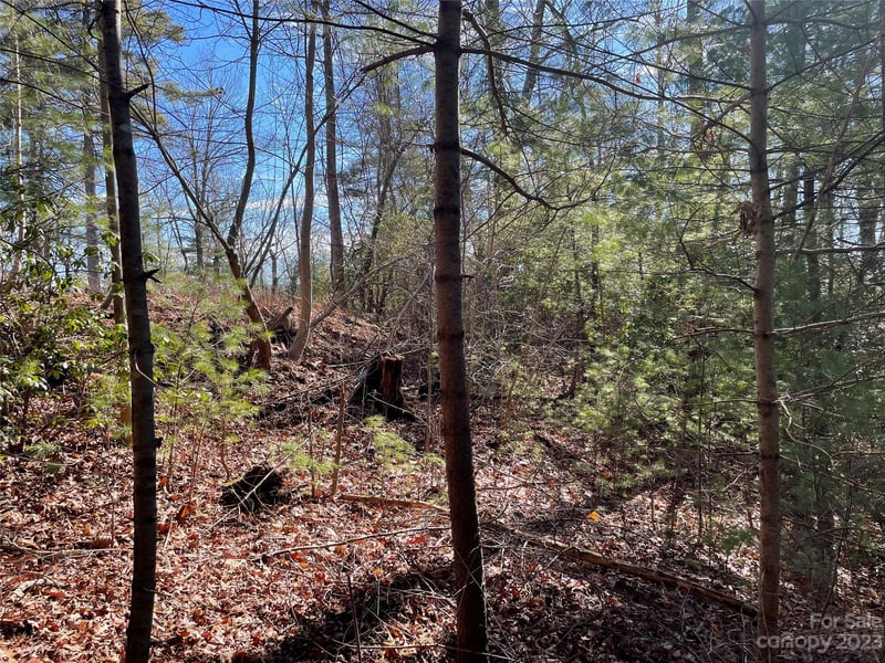 00 Willow Run Ln #12, Zirconia, NC 28790