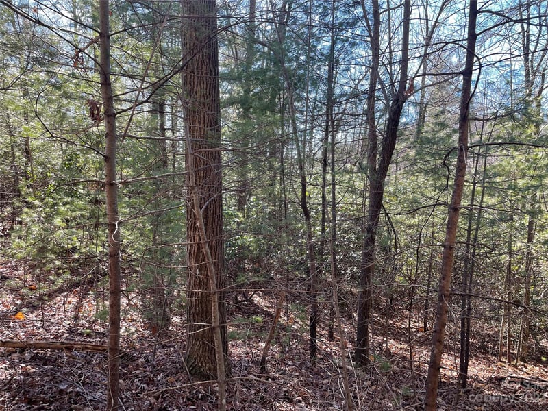 00 Willow Run Ln #12, Zirconia, NC 28790