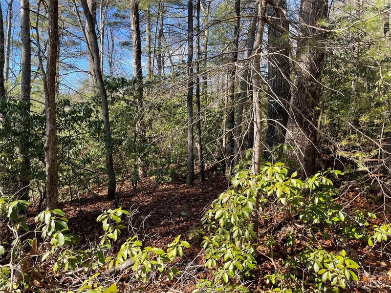 00 Willow Run Ln #16, Zirconia, NC 28790