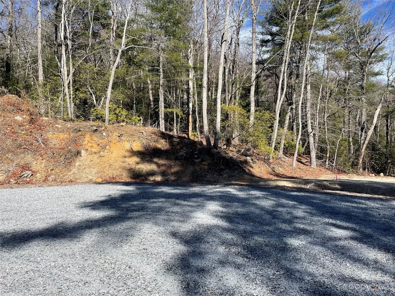 00 Willow Run Ln #16, Zirconia, NC 28790