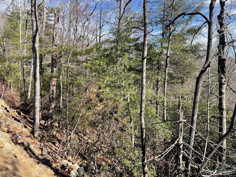 00 Willow Run Ln #15, Zirconia, NC 28790