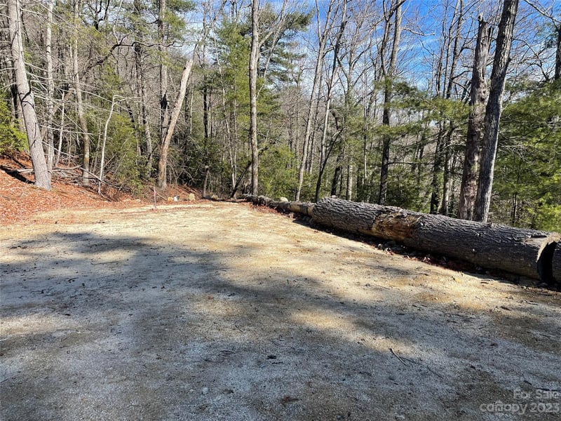 00 Willow Run Ln #15, Zirconia, NC 28790