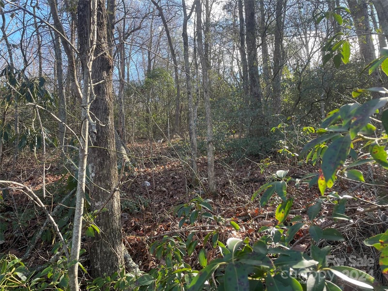146 Center St #9 & 10, Black Mountain, NC 28711
