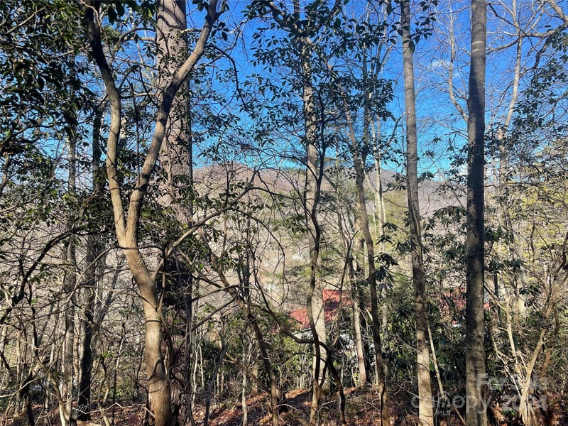 146 Center St #9 & 10, Black Mountain, NC 28711
