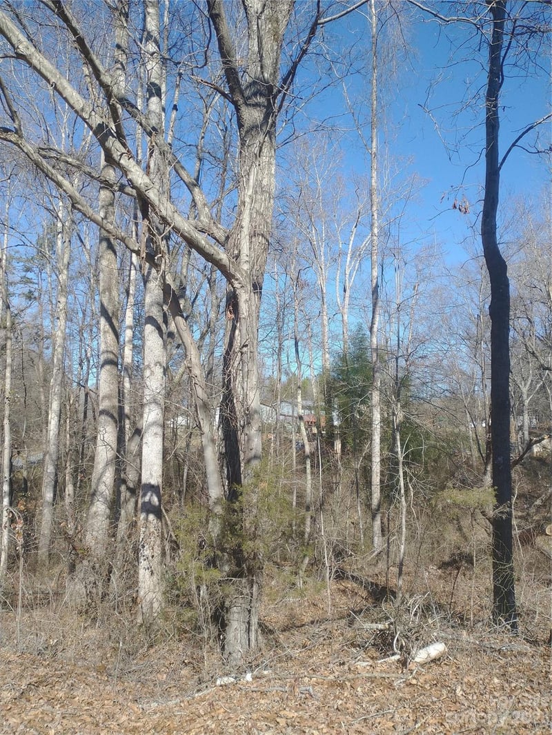 3360 Tolley St, Claremont, NC 28610
