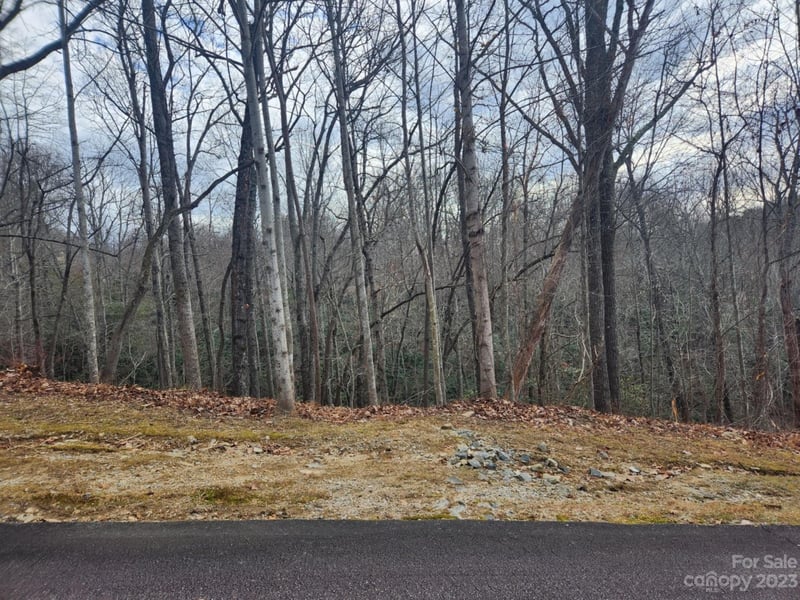 145 Ivywood Ln #10, Laurel Park, NC 28739