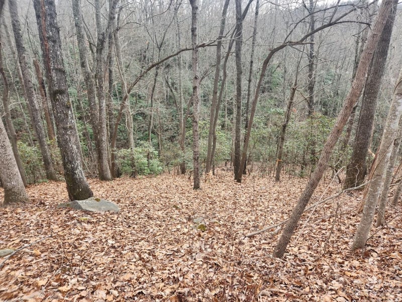 145 Ivywood Ln #10, Laurel Park, NC 28739