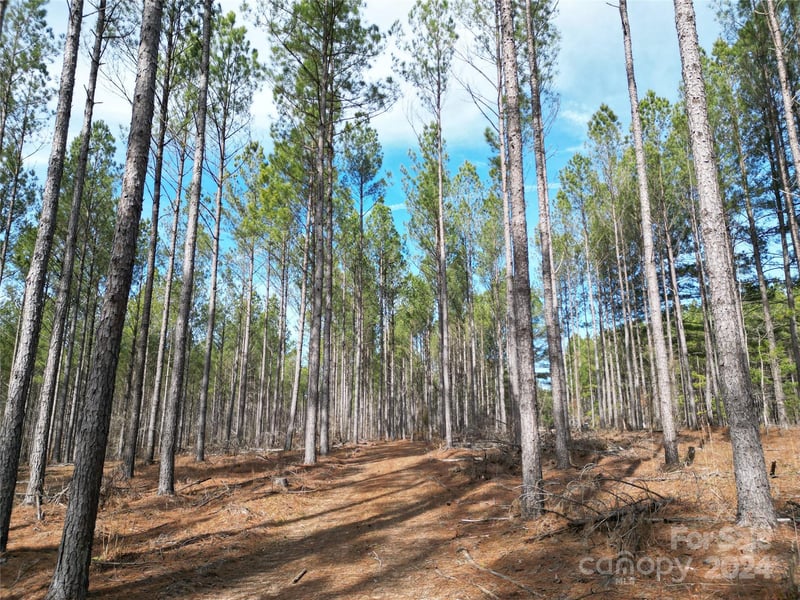 TBD Spencer Pointe Rd Lot 21A, Lilesville, NC 28091