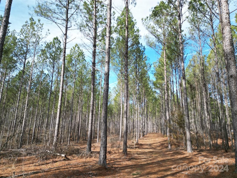 TBD Spencer Pointe Rd Lot 20C, Lilesville, NC 28091