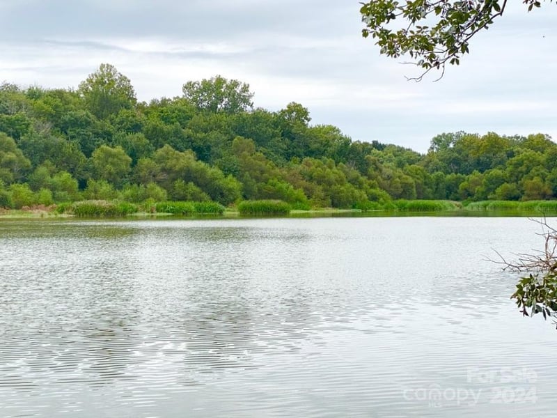 TBD Grassy Island Rd, Ellerbe, NC 28338