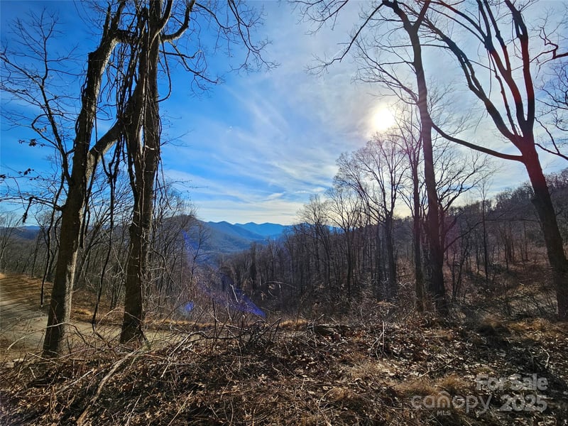 999 High Rock View Dr #36, Canton, NC 28716