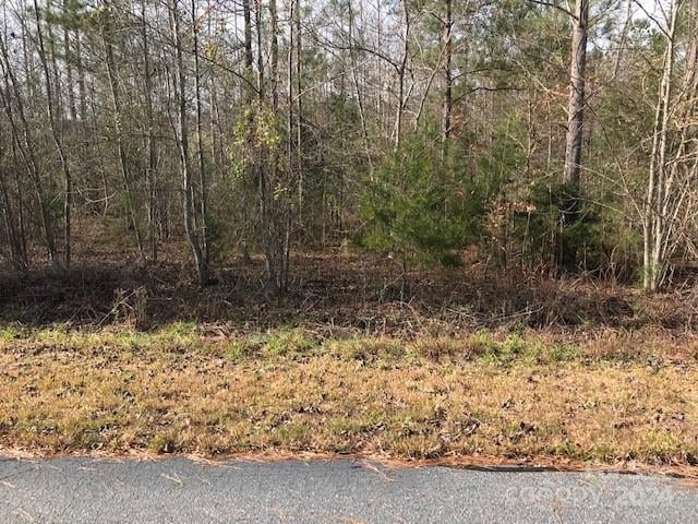 00 Woodstock Ln, Rutherfordton, NC 28139